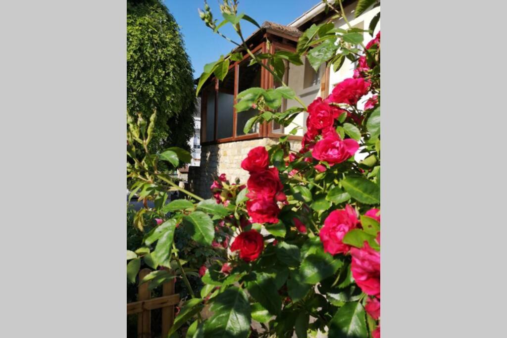 La Roseliere Maison Plain Pied Confortable Belle Decoration Jardin Magnifique 10 Mn A Pied Centre Ville Bayeux Proche Plages Du Debarquement Bagian luar foto